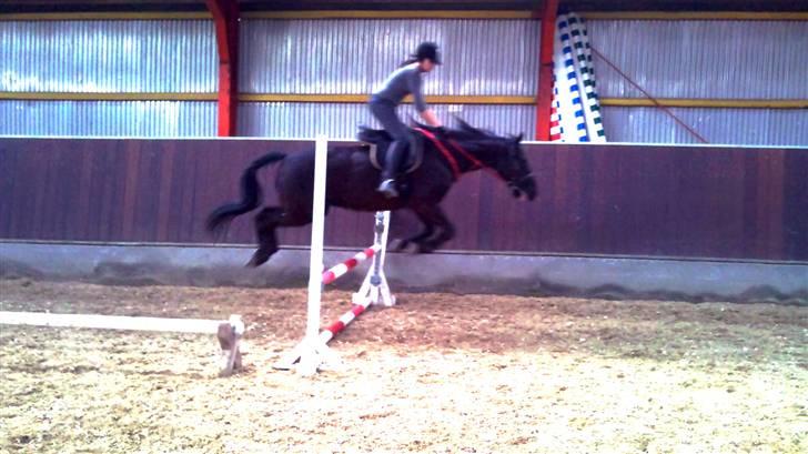 Traver zeb, R.I.P :'( ILY - billeder , 18 . 06-04-10 (: fotograf mor (:  billede 18