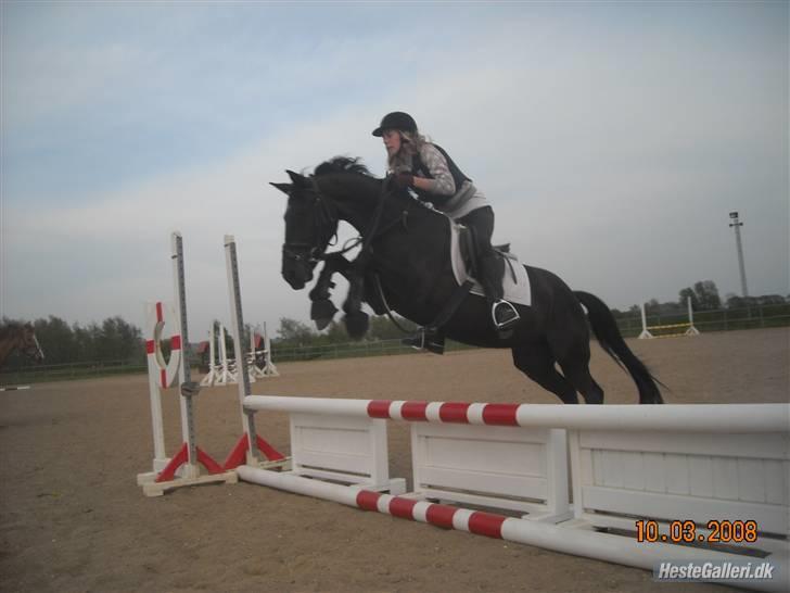 Anden særlig race Fritz. - Fritz og jeg :D <3 billede 3