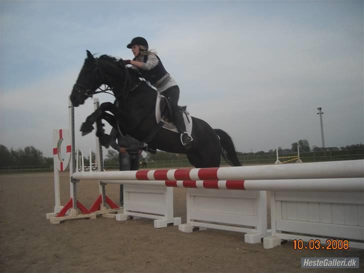 Anden særlig race Fritz. - Fritz og jeg :D <3 billede 5