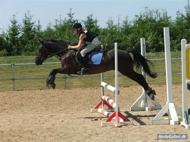 Anden særlig race Fritz. - Med Kathrine på ryggen! ;D billede 6