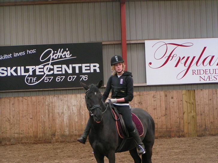 Anden særlig race Fritz. - Fritz og jeg som man kender os bedst! :D billede 10