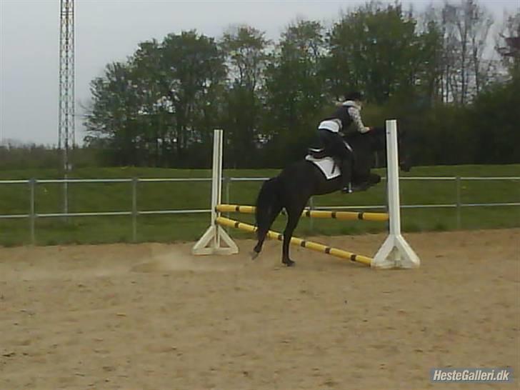 Anden særlig race Fritz. - Fritz og jeg :D <3 billede 11