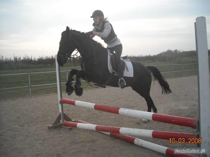 Anden særlig race Fritz. - Fritz og jeg :D <3 billede 12