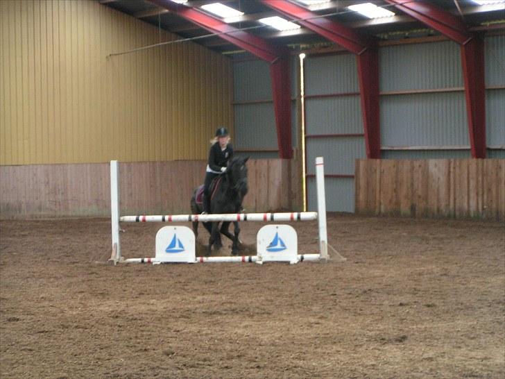 Anden særlig race Fritz. - selv de bedste stopper en gang imellem - fordi at jeg ikke er bange for at indrømme mine fejl! :) billede 14