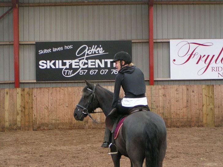 Anden særlig race Fritz. - Spænd gjorden! :D billede 15