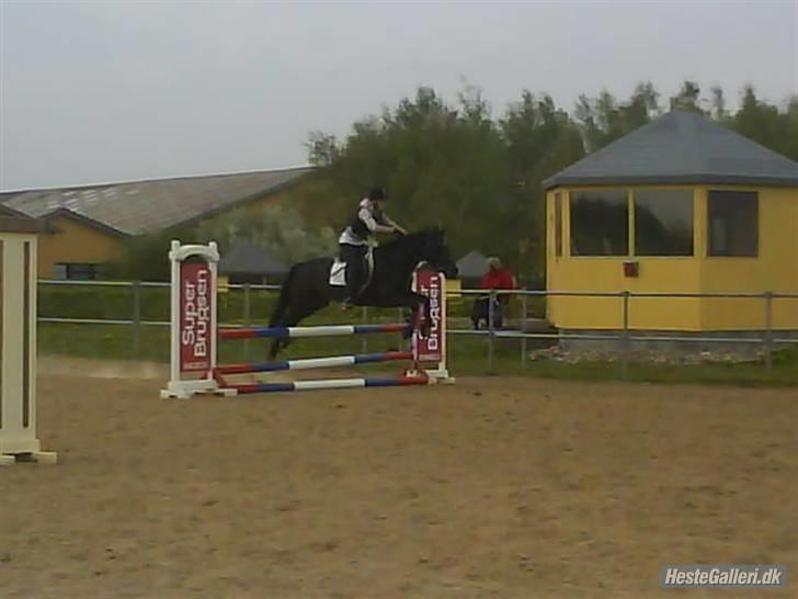 Anden særlig race Fritz. - Fritz og jeg :D <3 billede 16