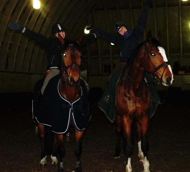 Svensk Varmblod                  Cadette  - Hygge hygge billede 8