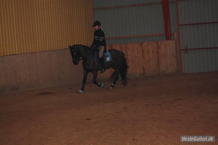 Anden særlig race Fritz. - Fritz og Kathrine. <3 Taget af Emma :) billede 17