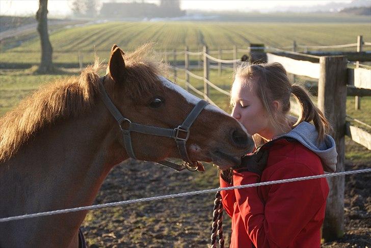 DSP Højgårds boli - Fordi du er så fantastisk ! Vores sidste dag sammen, før vi kørte dig til Nordsjælland. Du var og vil altid være det bedste! <3 billede 13
