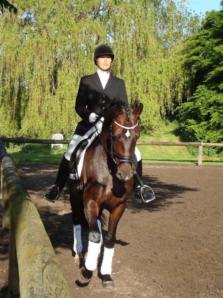 Hannoveraner Dreamgirl 11.04.2003-22.09.2012 - Opvarmning -her er man ikke så nervøs...  Taget af Bente billede 4