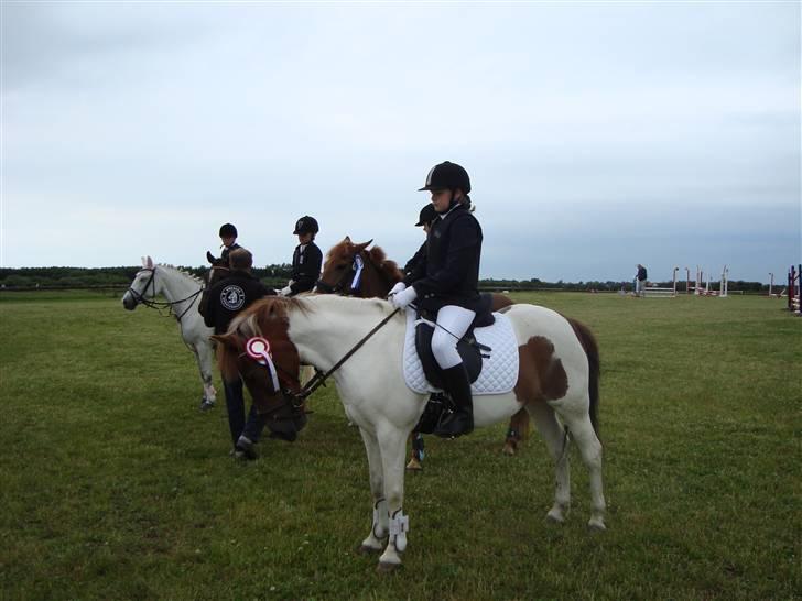Anden særlig race Zindy - 1. plads i RØK, i LD spring. billede 4