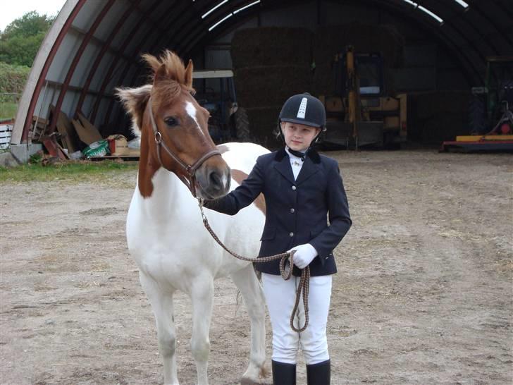 Anden særlig race Zindy billede 7