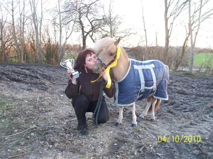 Dansk Miniature Askjærlund´s Oscar billede 11