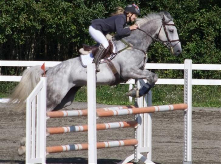 Mecklenburger Celine VI - Elvefestivalen (Norge) billede 4