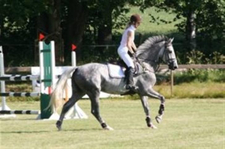 Mecklenburger Celine VI - Våres første stævne (Sande-Norge) billede 6