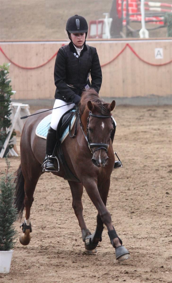 DSP Cirkeline - På banen i en LB C-stævne :D billede 13