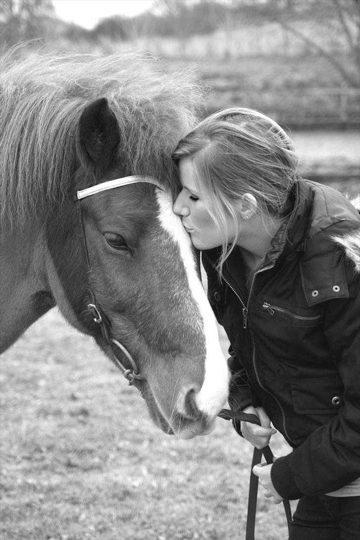 Islænder Sævar från Musö - <3 elsker ham så højt ! billede 17