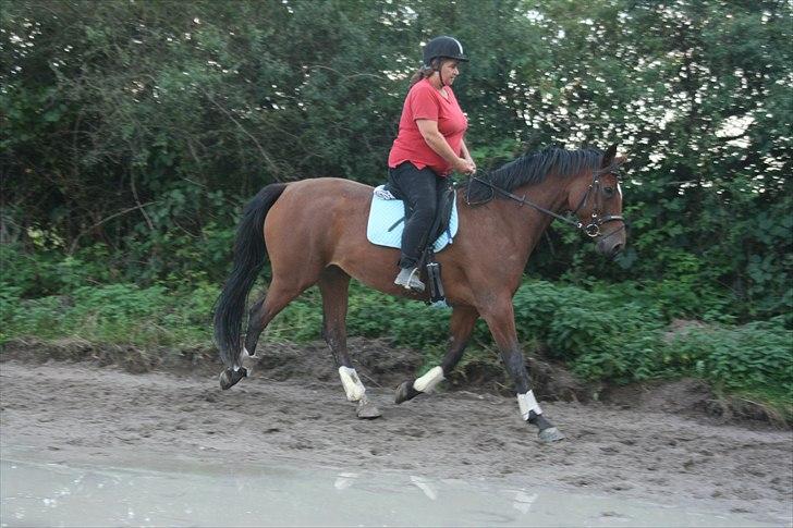 Dansk Varmblod Casiopaja Kilen - 18) kasse & mor <3 FOTOGRAF: KiK-photo billede 18