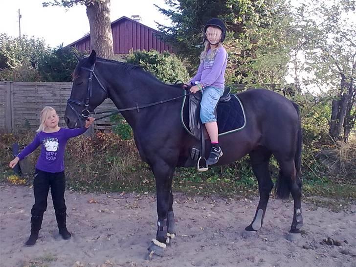 Traver Santhos billede 1