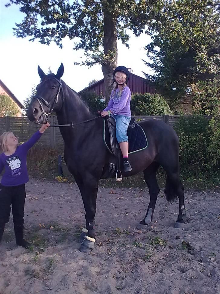 Traver Santhos billede 2