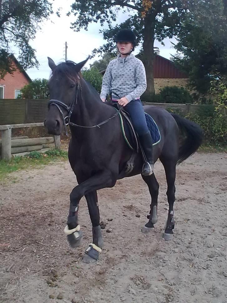 Traver Santhos billede 3