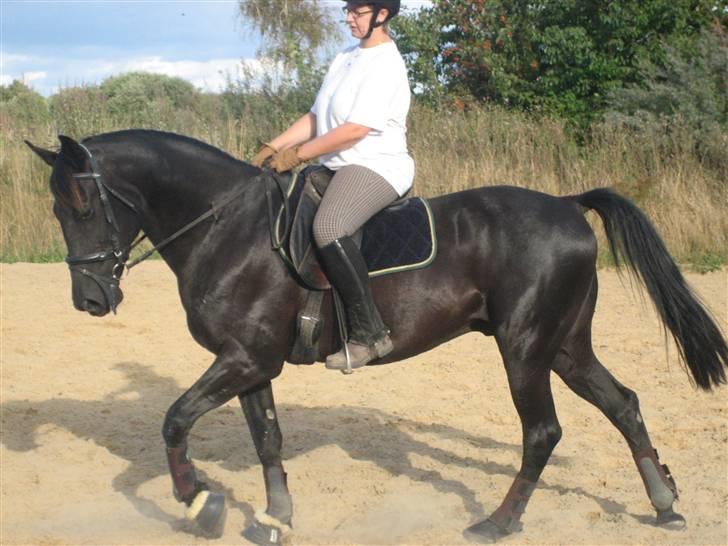 Traver Santhos billede 9