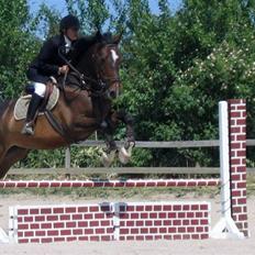 Anden særlig race Hector