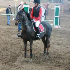 Anden særlig race Rapollo