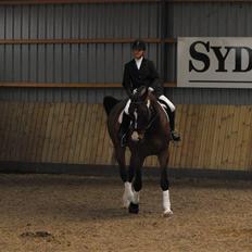 Holstener Mr. Regan/Raket