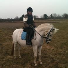 Anden særlig race Skovbjerggårds coxx