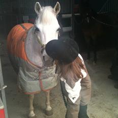 Anden særlig race Skovbjerggårds coxx