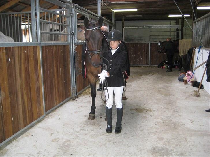 DSP Ricko *Gamle Part* et&alt - 10# Langhøj Lokal Stævne   -Taget d. 18/09-2010: Mor/Far billede 10