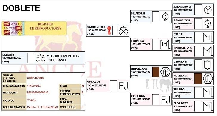 Pura Raza Española Don Doblete - Stamtavlen billede 12