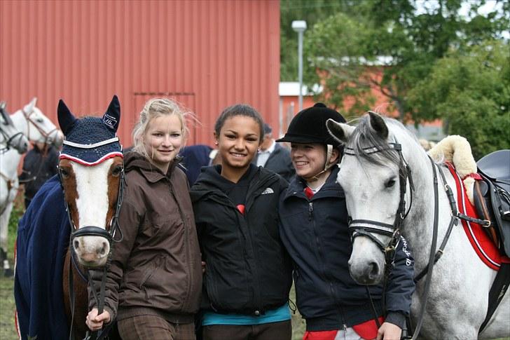 Hollandsk Sportspony Catch Me DK  - Pigerne og ponyerne(: Nusen, Rex, Becca, mig og Sky :D billede 16