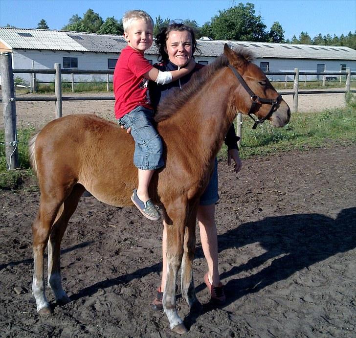 Pinto Kallestrups Omiaisis  - Tålmodge lillle pige. Bare rolig, jeg løfter ham op fra hende: billede 11