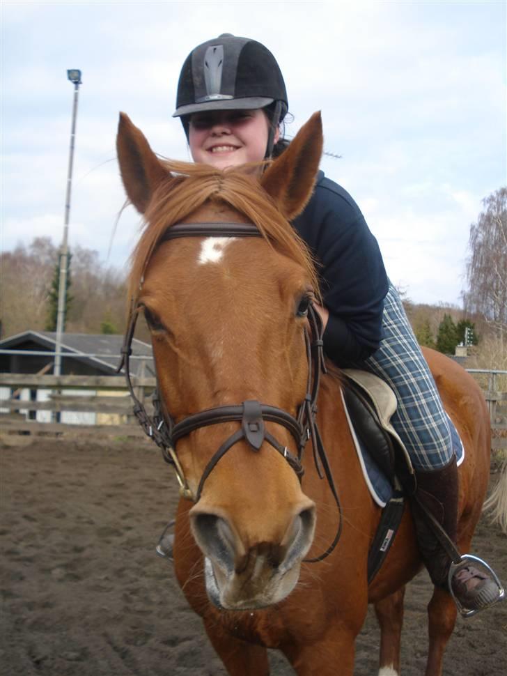 Fuldblod (XX) Malou *RIP* billede 7