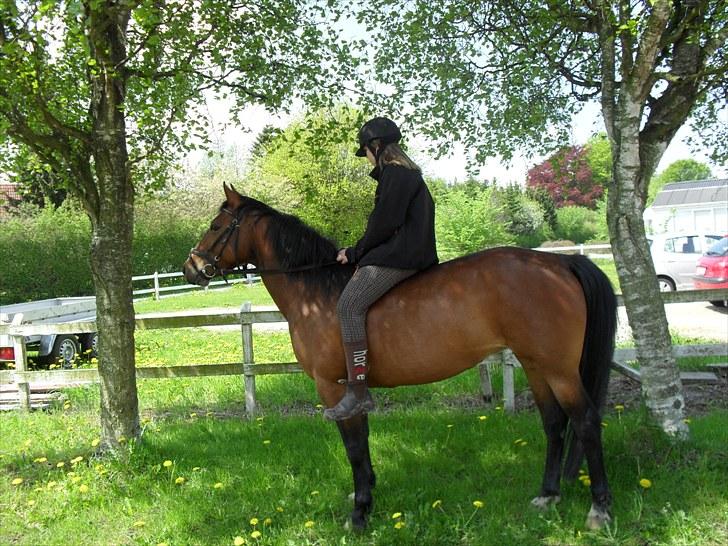 Anden særlig race Maggie - Velkommen til Maja & Maggie´s profil. :p I må meget  gerne kigge & ligge en lille kommentar + bedømmelse . ;b billede 3