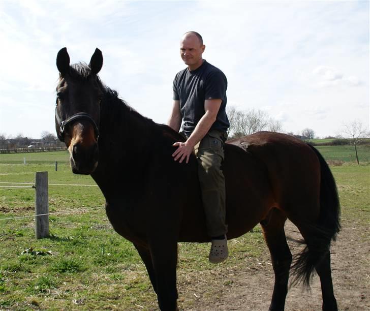 Oldenborg Chevall R.I.P - her er han vores  dreng , vi  er total forelsket i vores  skønne nye dreng  billede 1