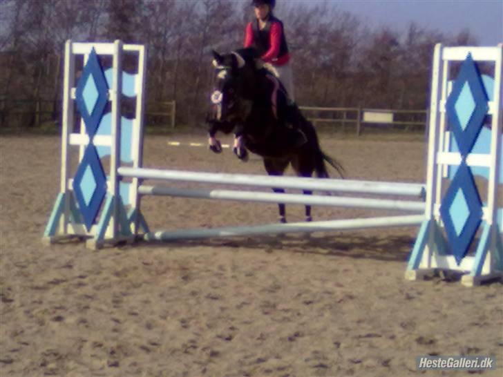 Anden særlig race Isabell - Belle og mig springer Foto:Maria billede 17