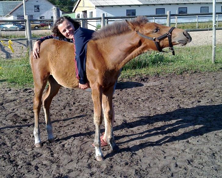 Pinto Kallestrups Omiaisis  - Det klør så dejligt her! billede 12