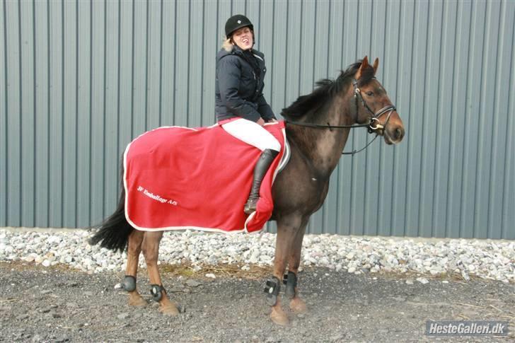 Anden særlig race Rapollo billede 5