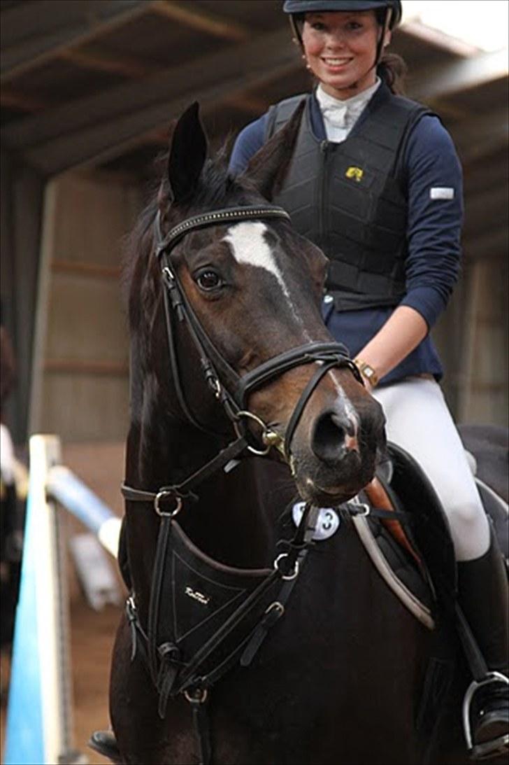 Hollandsk Varmblod Progret - Pro - jeg elsker dig! <3 Foto: Iza billede 2