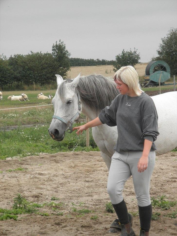 Arabisk fuldblod (OX)  belissa R.I.P - Belissa og jeg 2010. billede 7