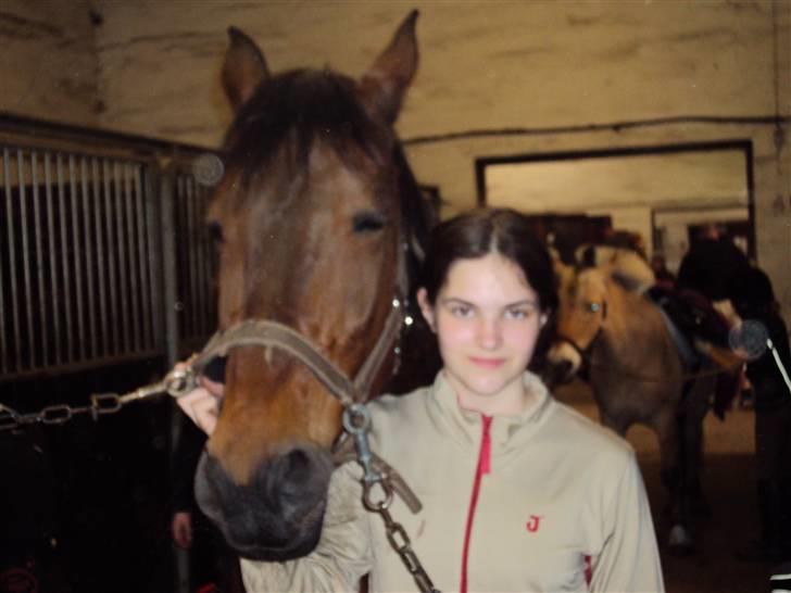 Anden særlig race Tøsen billede 7