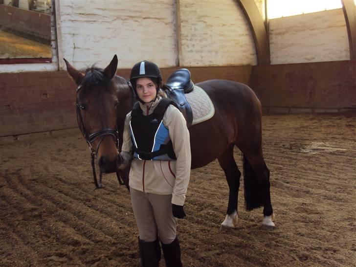 Anden særlig race Tøsen billede 9