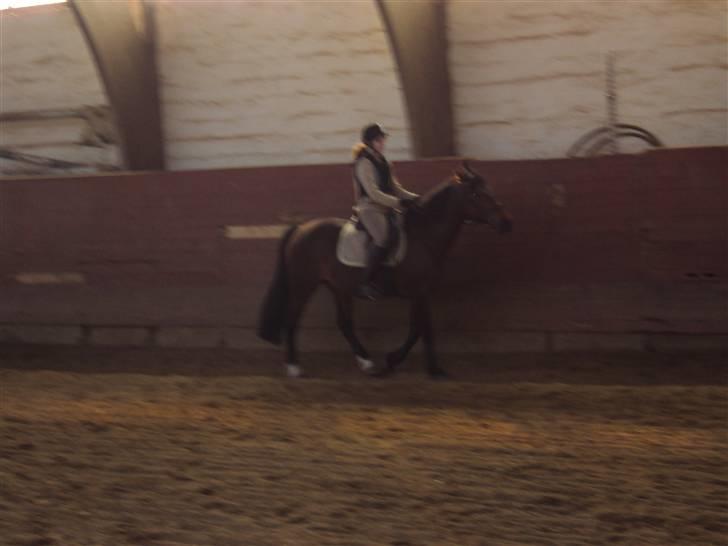 Anden særlig race Tøsen billede 11