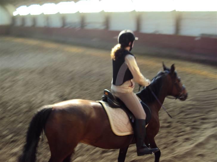 Anden særlig race Tøsen billede 13