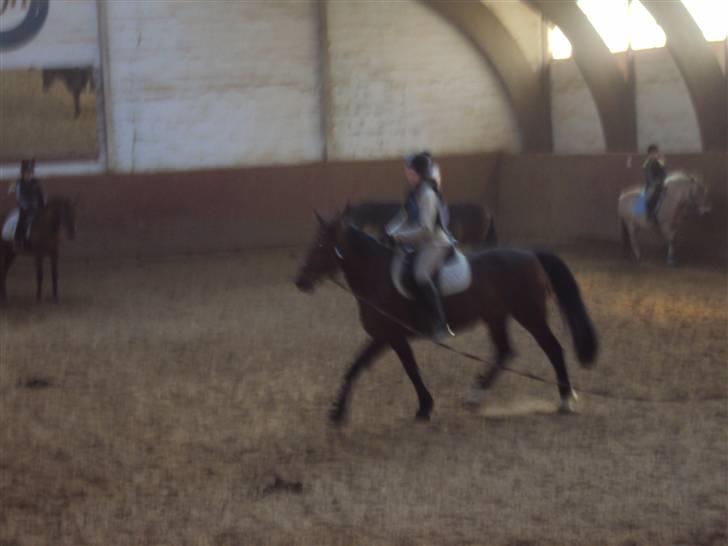 Anden særlig race Tøsen billede 14