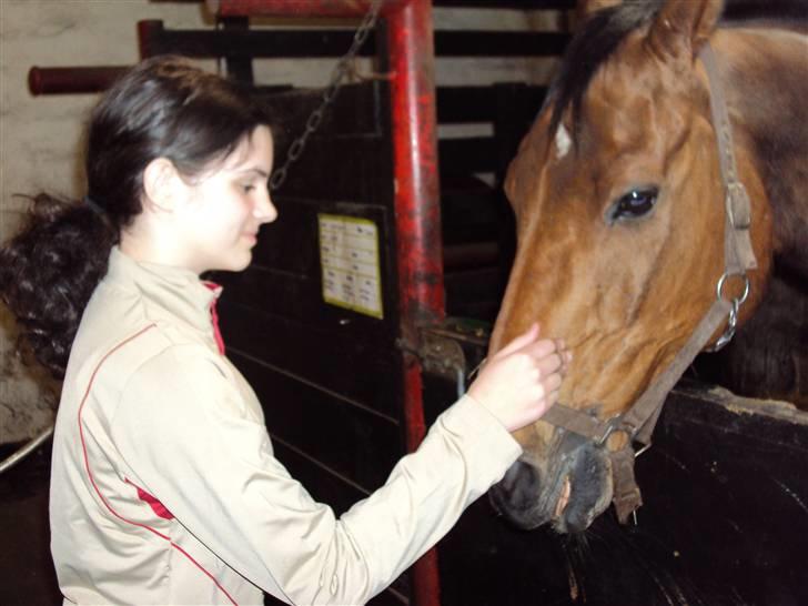 Anden særlig race Ramses R.I.P Altid elsket billede 11