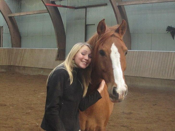 Anden særlig race Tots Ramik billede 11